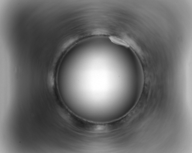 X0000096670060200802121159