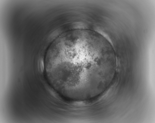 X0000096670061200802121159