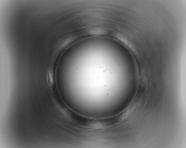 X0000096670062200802121159