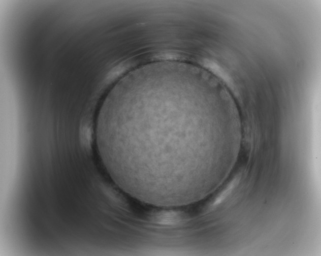 X0000096670063200802121159