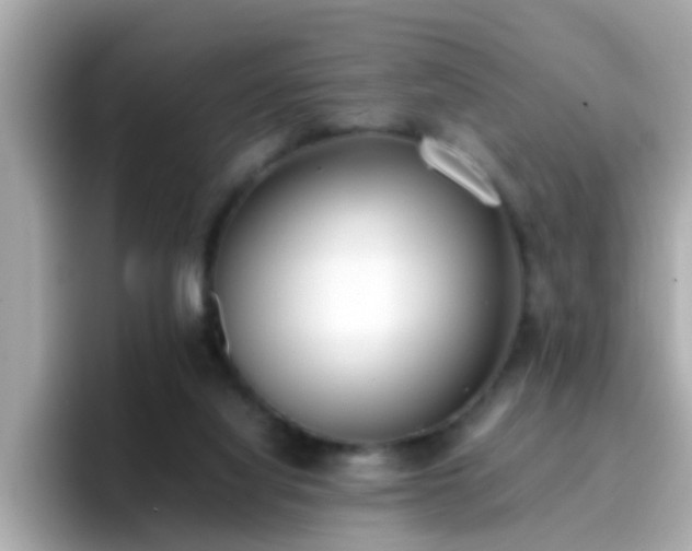 X0000096670068200802121159