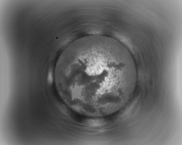 X0000096670069200802121159