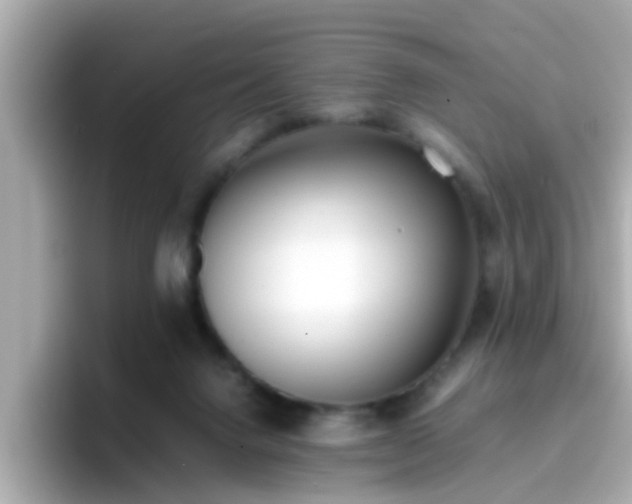 X0000096670072200802121200