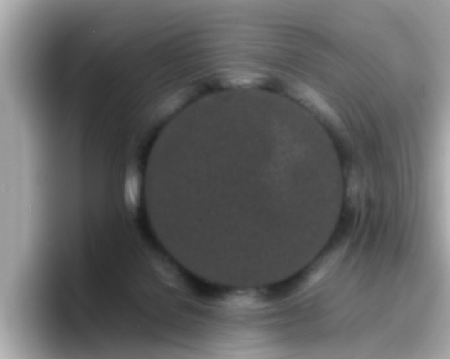 X0000096670076200802121200