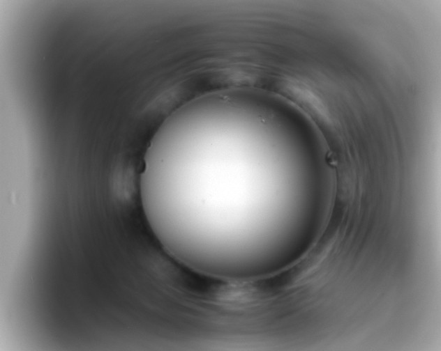 X0000096670077200802121200