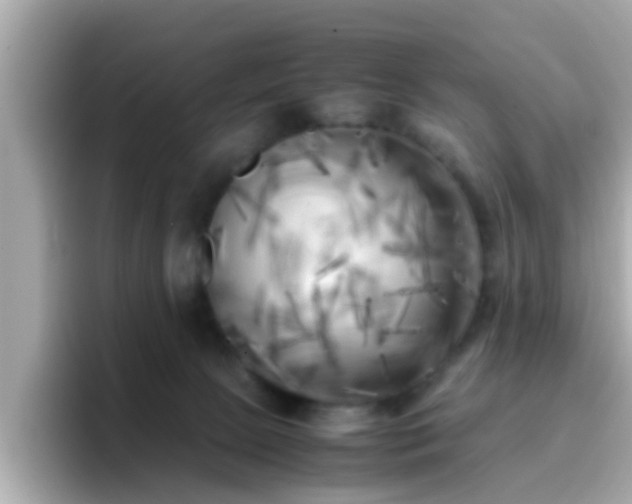 X0000096670081200802121200