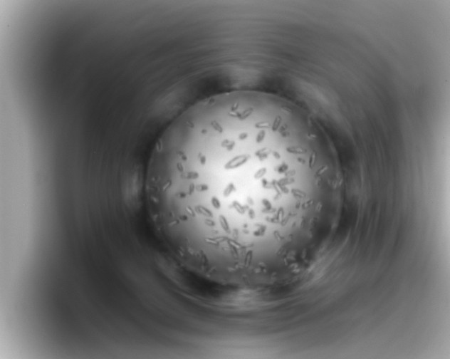 X0000096670082200802121200