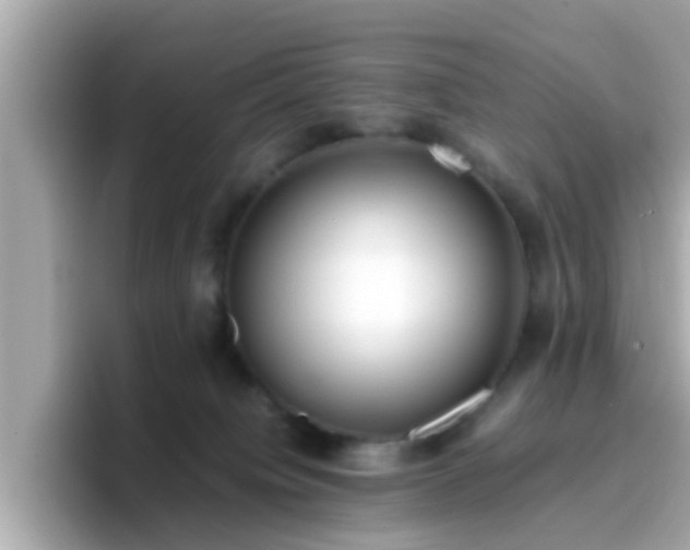 X0000096670084200802121200