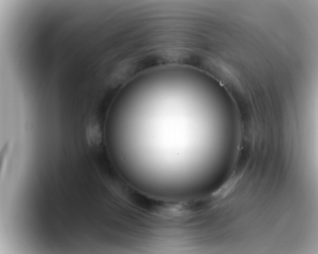 X0000096670086200802121200