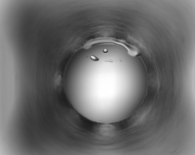 X0000096670087200802121200