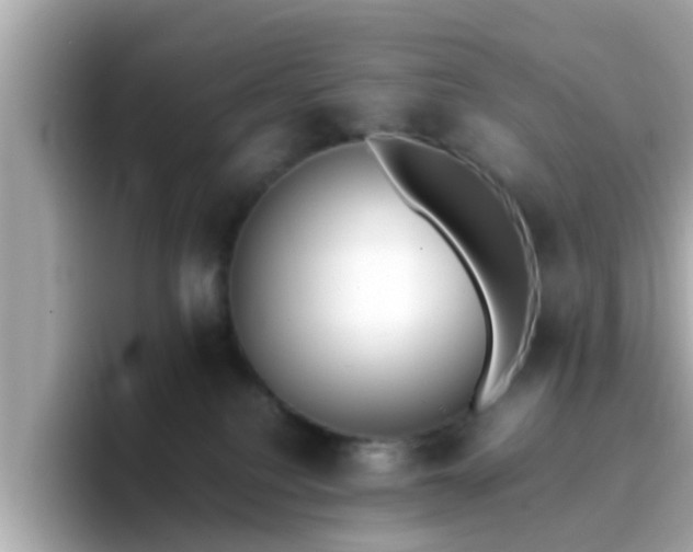 X0000096670088200802121200