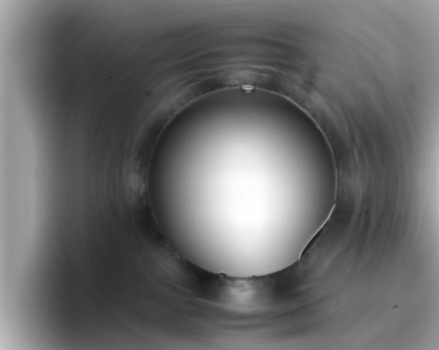 X0000096670091200802121200