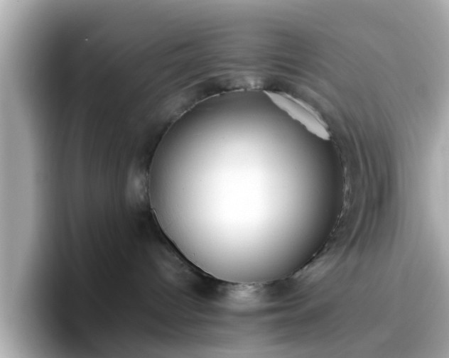 X0000096670096200802121200