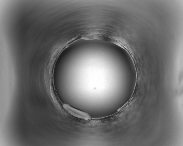 X0000096670097200802121159