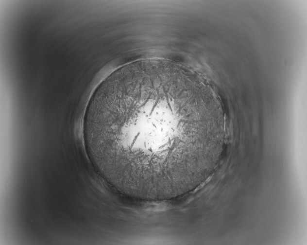 X0000096670099200802121159