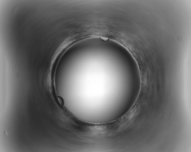 X0000096670102200802121159