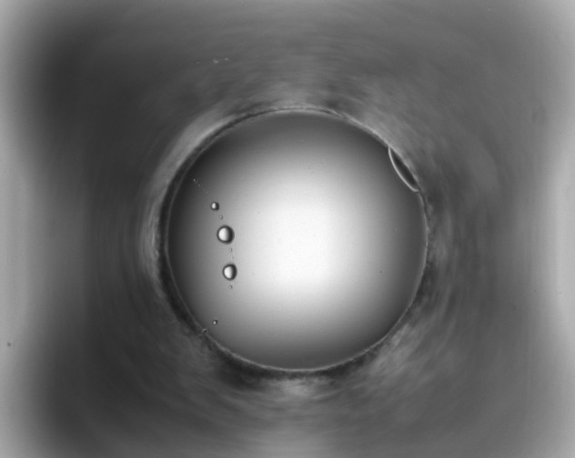 X0000096670103200802121159