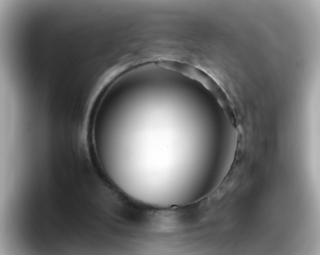 X0000096670104200802121159