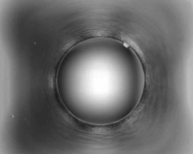 X0000096670105200802121159