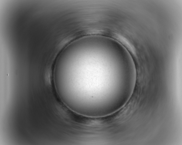 X0000096670107200802121159