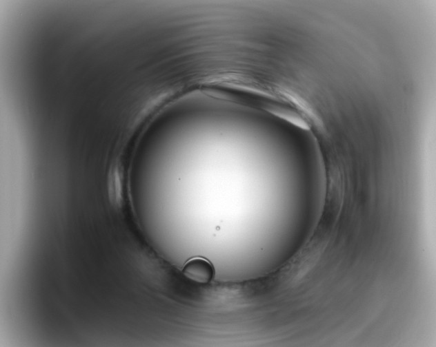 X0000096670110200802121159