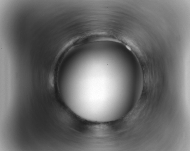 X0000096670112200802121159