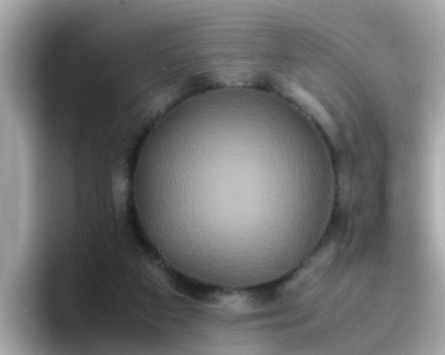 X0000096670113200802121159