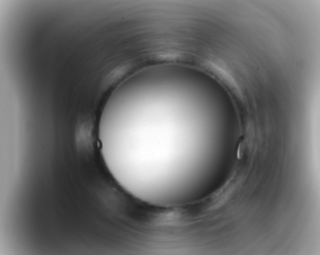 X0000096670116200802121159