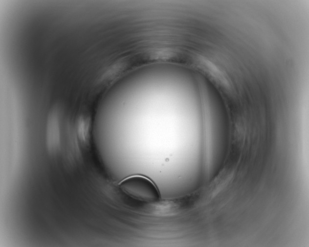 X0000096670118200802121159