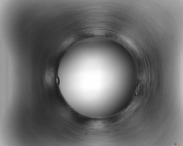 X0000096670120200802121159