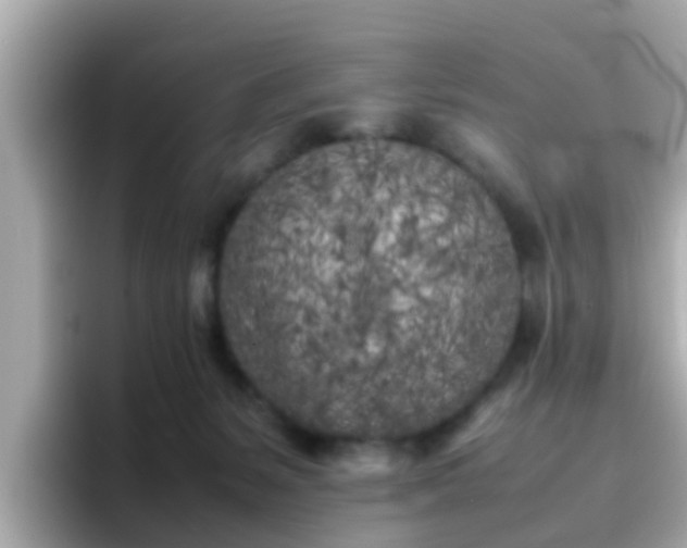 X0000096670127200802121159