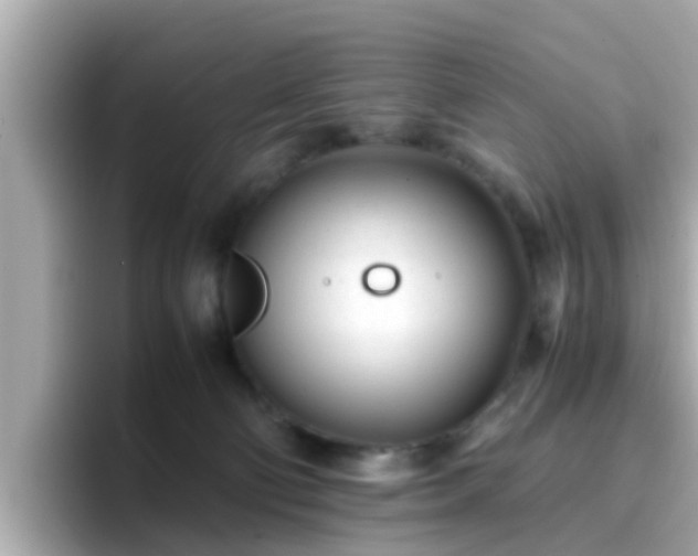 X0000096670130200802121159