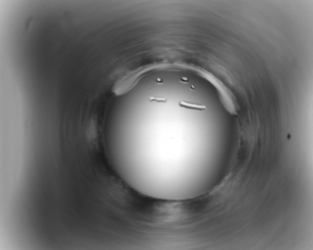 X0000096670132200802121159