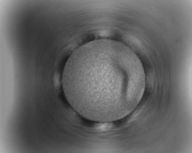 X0000096670135200802121159