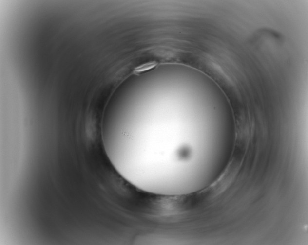 X0000096670136200802121159