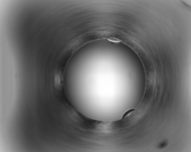 X0000096670138200802121159