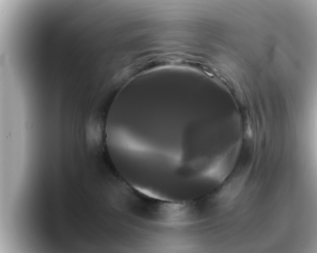 X0000096670139200802121159
