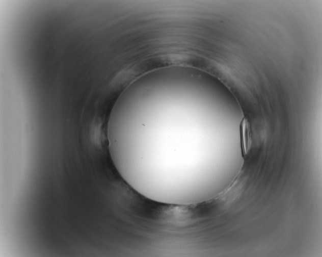 X0000096670140200802121159