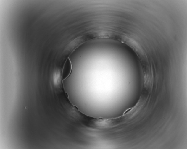 X0000096670142200802121159