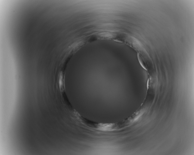 X0000096670143200802121159