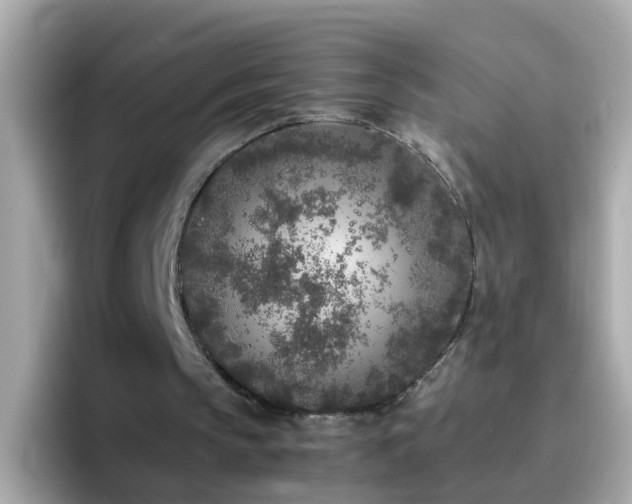 X0000096670145200802121158