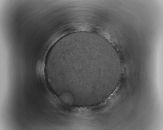 X0000096670146200802121158