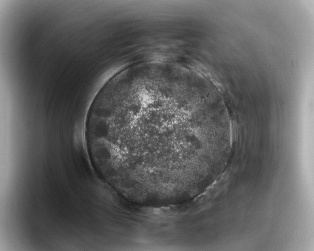 X0000096670147200802121158