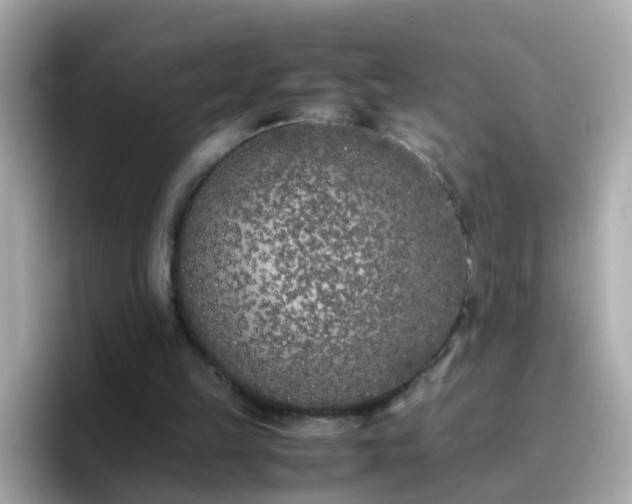 X0000096670149200802121158