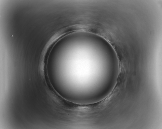 X0000096670150200802121158