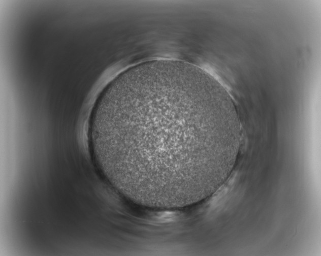 X0000096670151200802121158