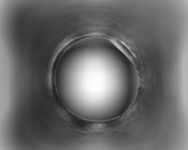 X0000096670152200802121158