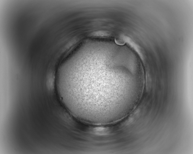 X0000096670153200802121158