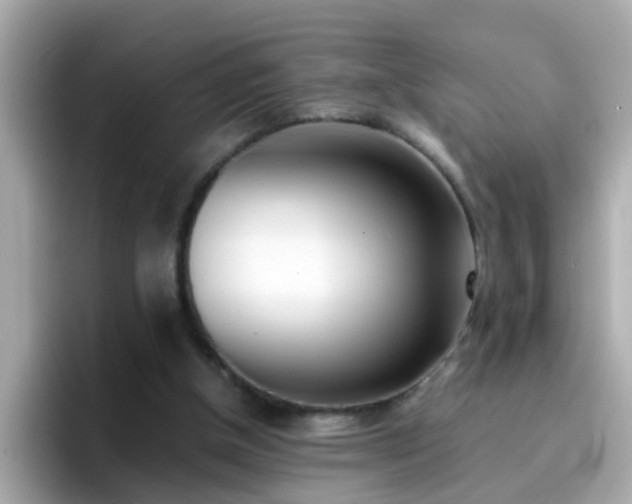 X0000096670154200802121158