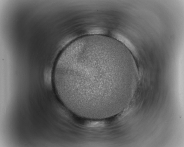 X0000096670155200802121158